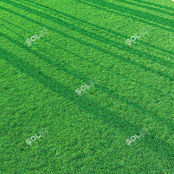 Professional Outdoor Grass Model 3D model image 5