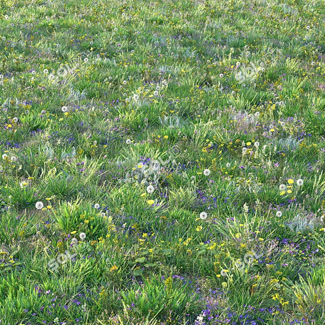 Spring-Summer Grass Collection 3D model image 3