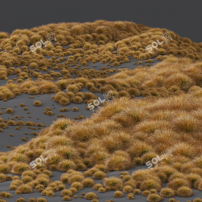 Vibrant Colorgrass Prairie Fire Model 3D model image 2