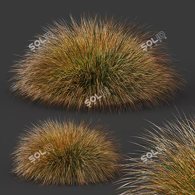 Vibrant Colorgrass Prairie Fire Model 3D model image 3