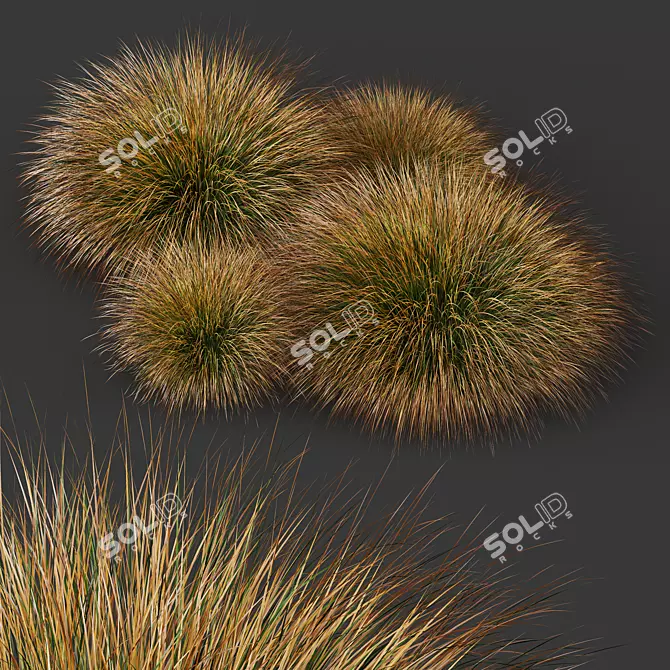 Vibrant Colorgrass Prairie Fire Model 3D model image 4