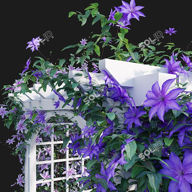 3D Clematis Plant Models - Complete Growth Solutions 3D model image 5