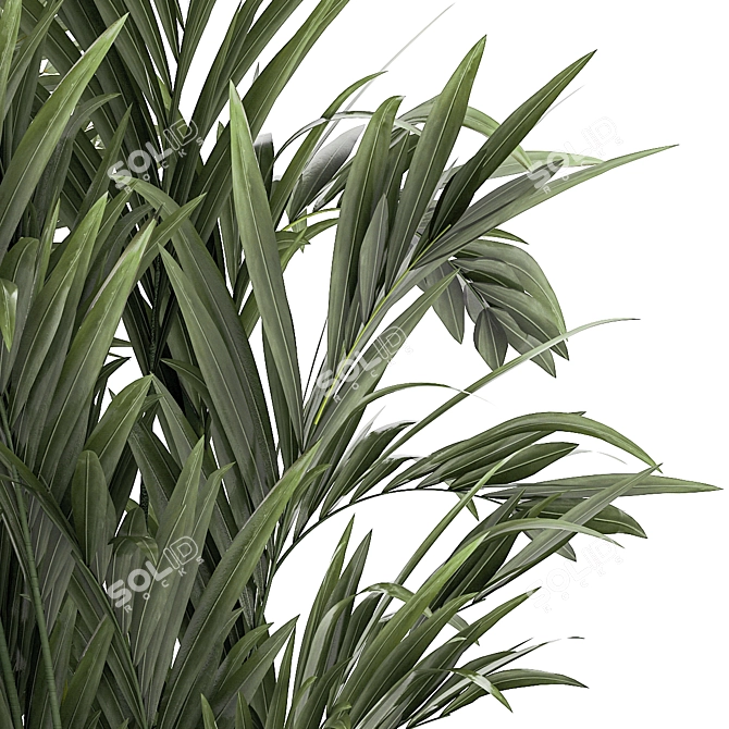 Exotic Plant Collection Set 3D model image 4