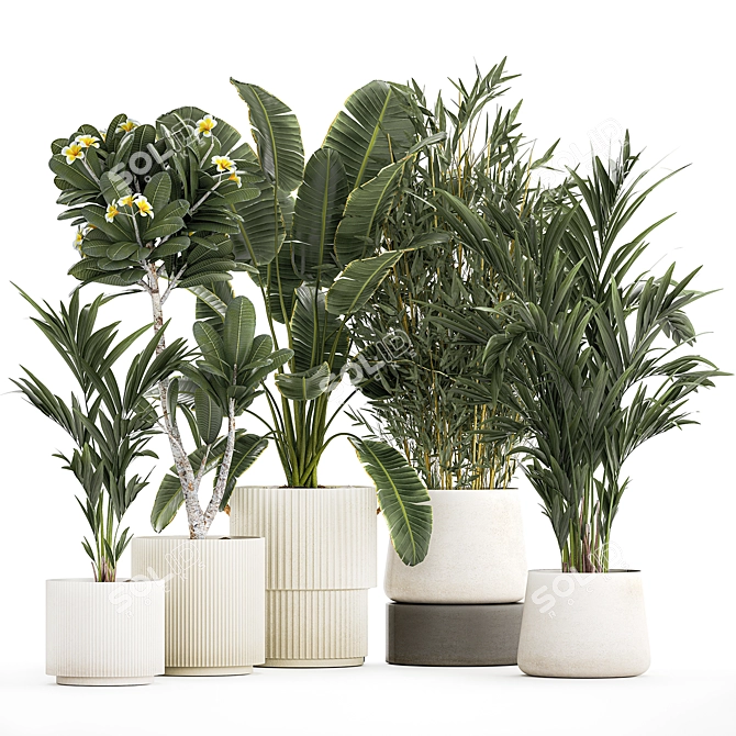 Exotic Plant Collection Set 3D model image 6