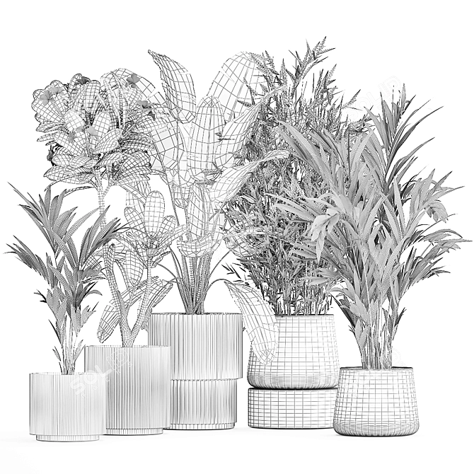 Exotic Plant Collection Set 3D model image 7