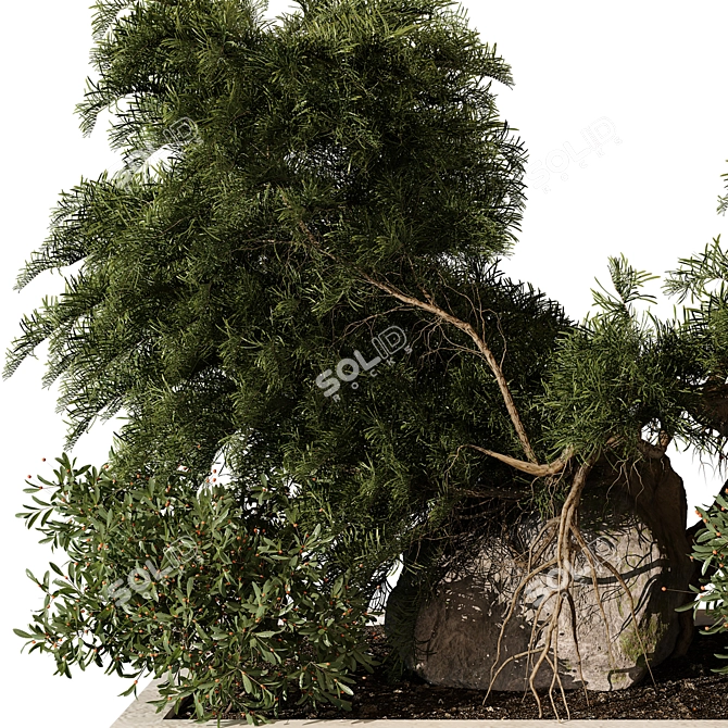 Outdoor Plant 226 3D Model 3D model image 3