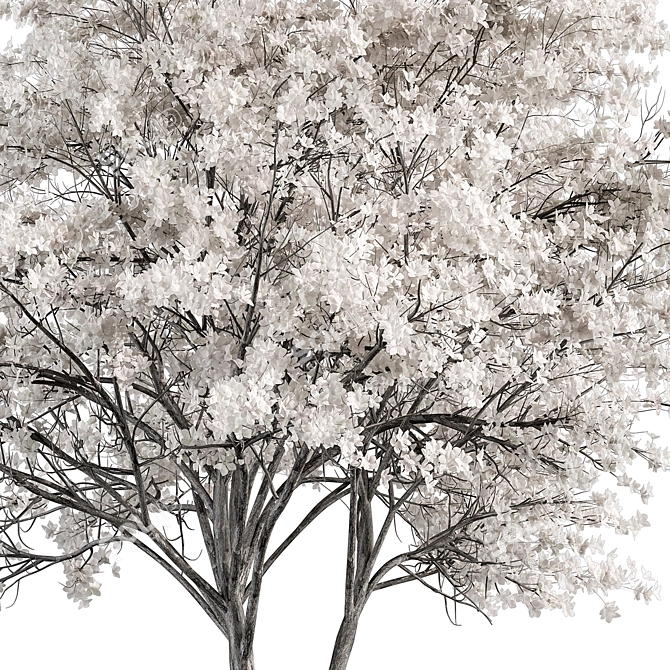 Elegant White Dogwood Tree Set 3D model image 2