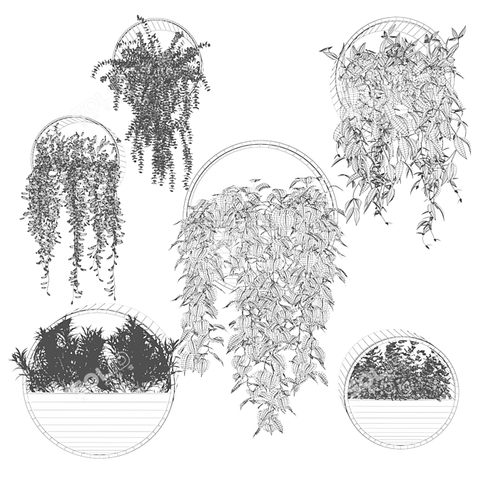 Hanging Planter Circles with Indoor Trailing Plants 3D model image 4