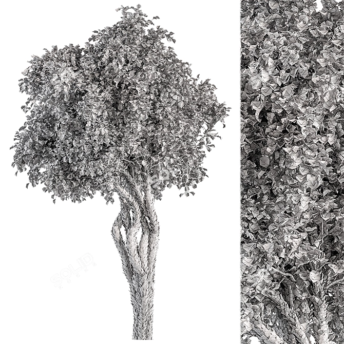 Red Maple Tree Collection 166 3D model image 3