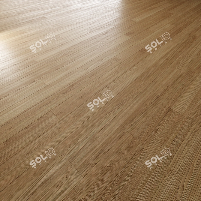 Premium Oak Floor Textures Pack 3D model image 4