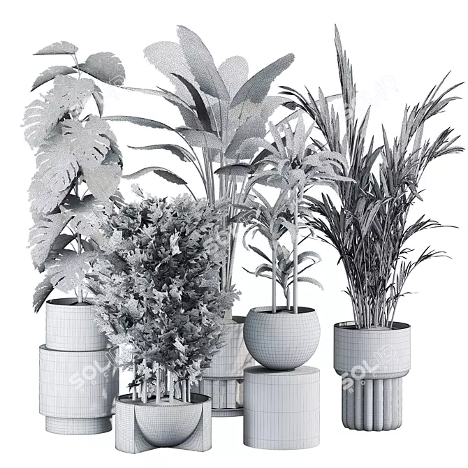 Tropical Plants Set 25 3D model image 2