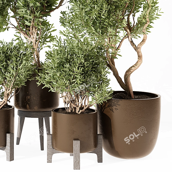 Outdoor Plant 227 V-Ray Corona 3D model image 2