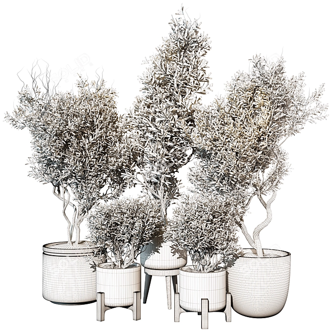 Outdoor Plant 227 V-Ray Corona 3D model image 4