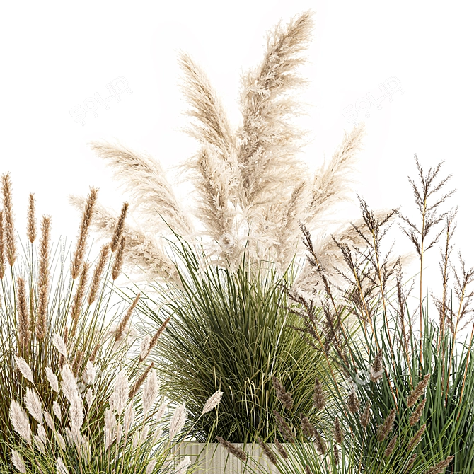 Decorative Grass and Bush Set 3D model image 5