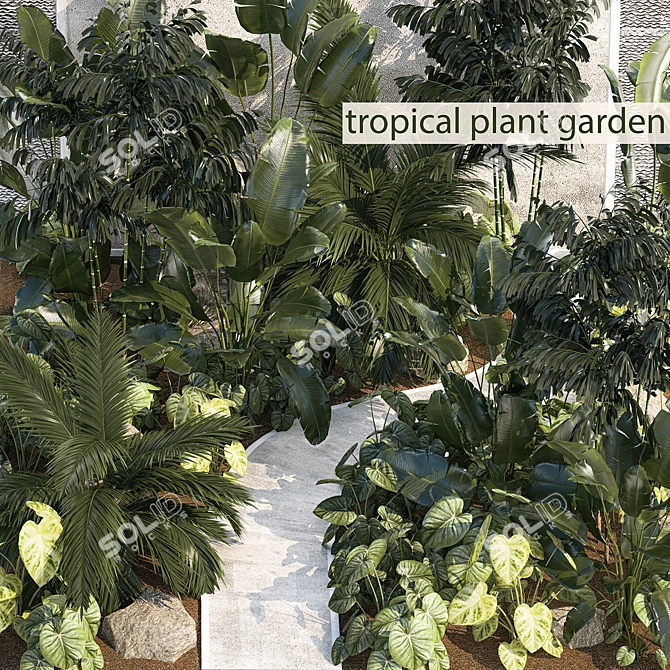 Tropical Oasis Plant Set 3D model image 1