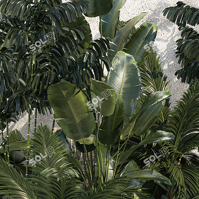 Tropical Oasis Plant Set 3D model image 5