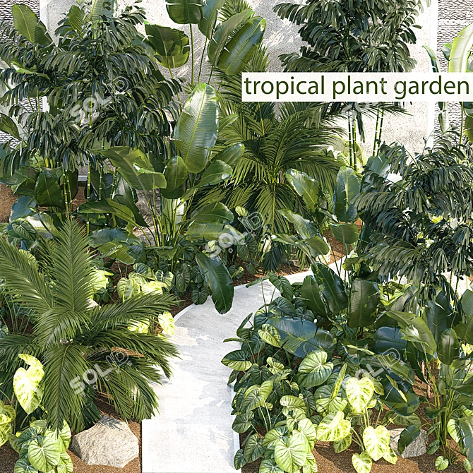 Tropical Oasis Plant Set 3D model image 8