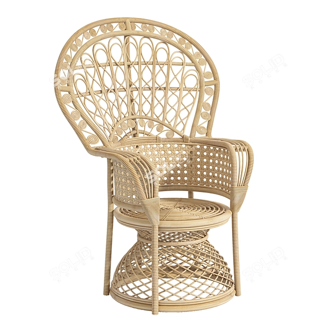 Elegant Nassor Peacock Chair 3D model image 1