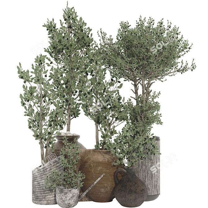 Decorative Olive Tree 3D Model 3D model image 1