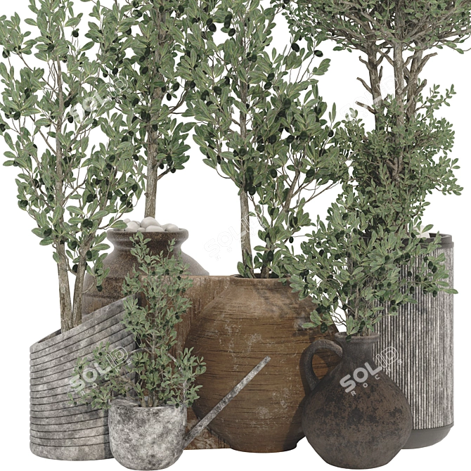 Decorative Olive Tree 3D Model 3D model image 2