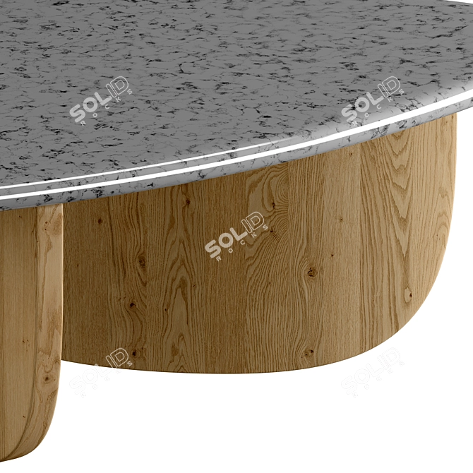 Modern Wood and Marble Coffee Table 3D model image 1