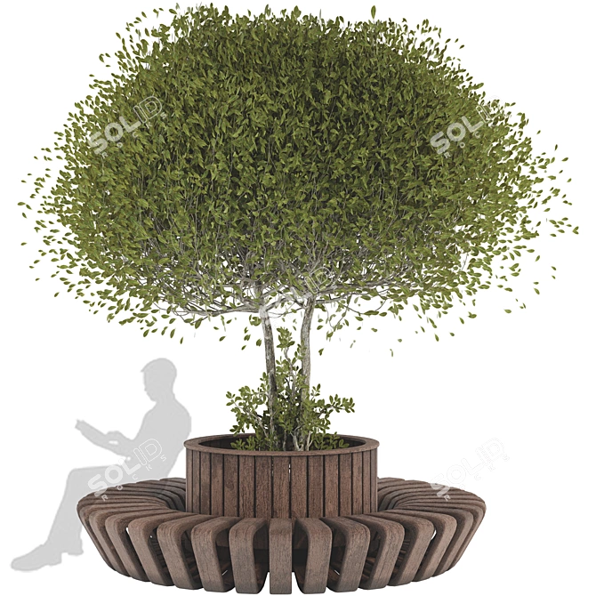 Wooden Bench with Oval Tree 3D model image 1