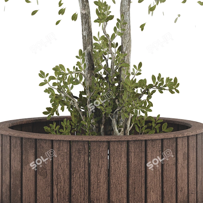 Wooden Bench with Oval Tree 3D model image 3