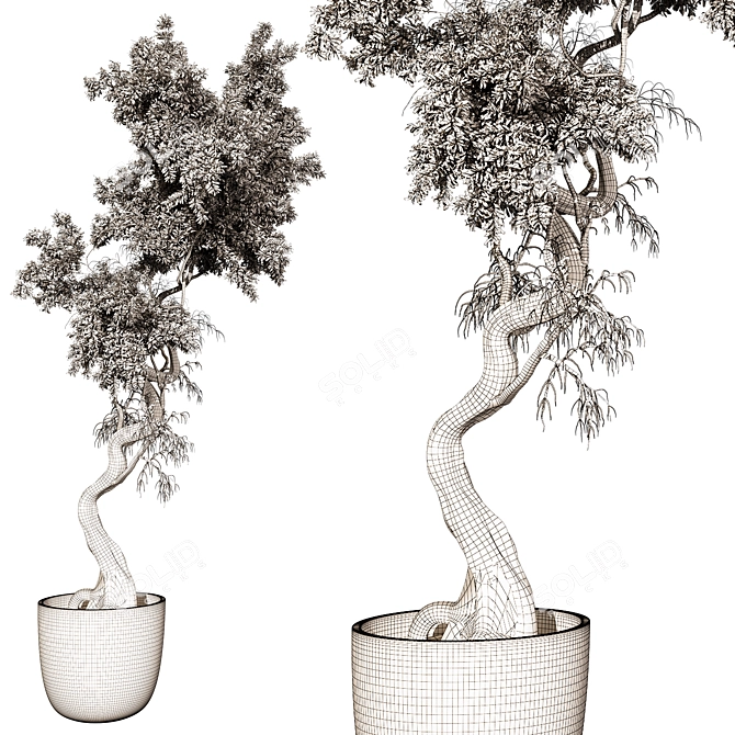 Modern Indoor Plant Model 273 3D model image 2