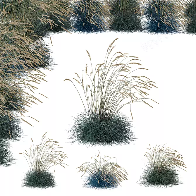 Silvery Blue Windy Plant Kit 3D model image 1