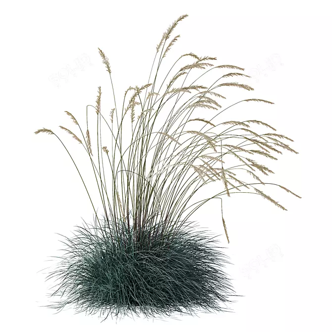 Silvery Blue Windy Plant Kit 3D model image 2