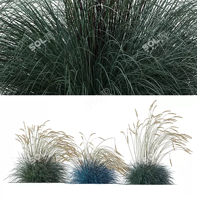Silvery Blue Windy Plant Kit 3D model image 3