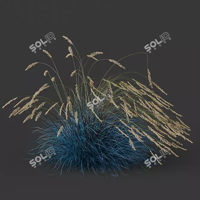 Silvery Blue Windy Plant Kit 3D model image 5