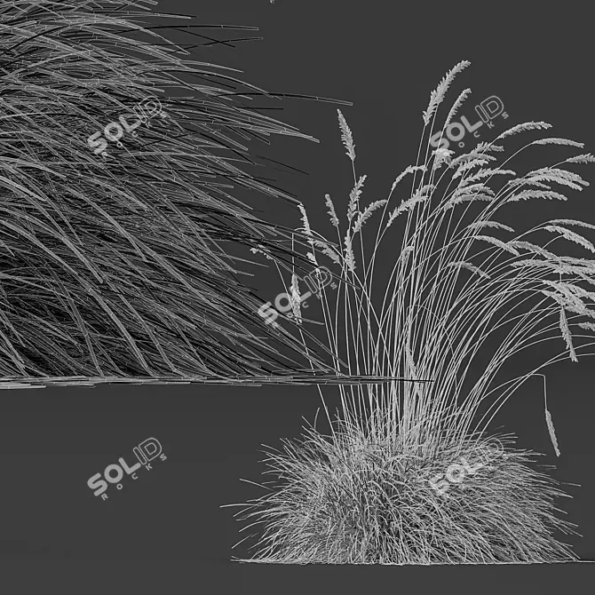 Silvery Blue Windy Plant Kit 3D model image 6
