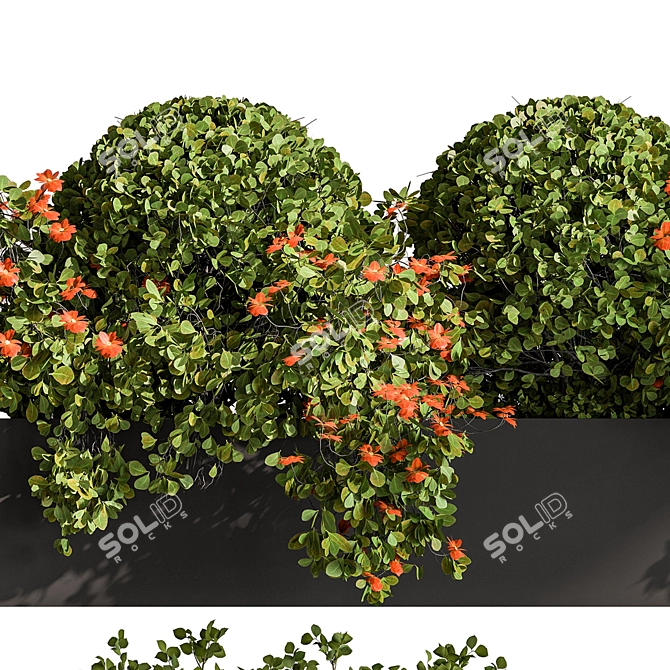 532 Hanging Plants Outdoor 3D model image 4