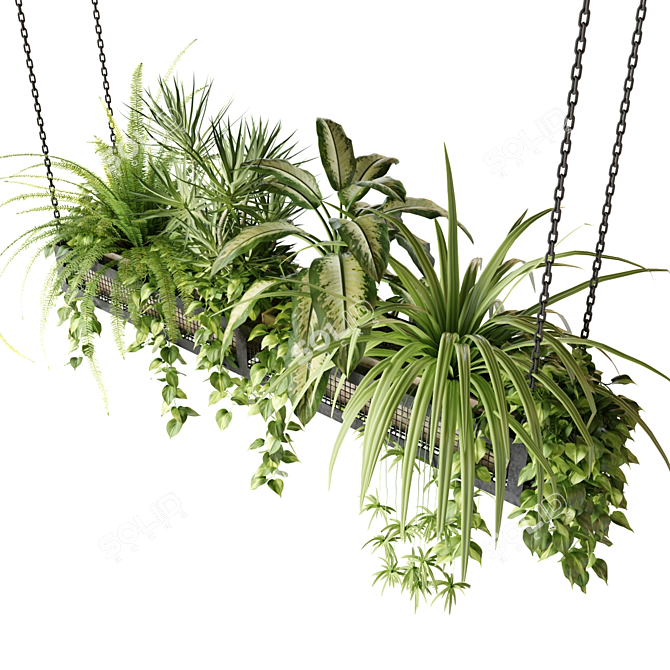 Hanging Plant Mesh - Indoor & Hanging Plants 3D model image 3