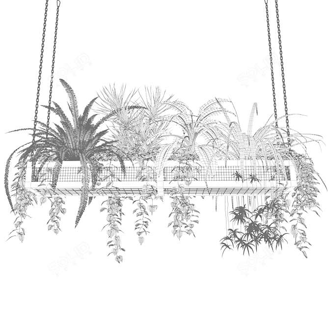 Hanging Plant Mesh - Indoor & Hanging Plants 3D model image 4