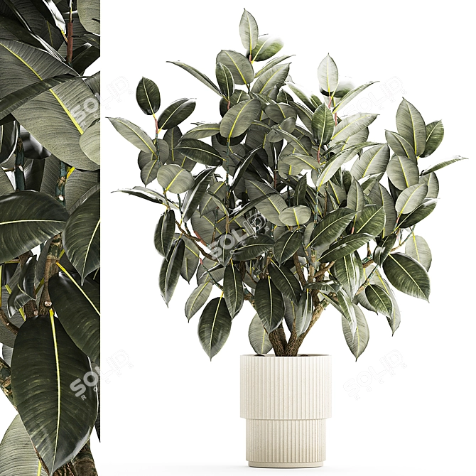 Modern Concrete Vase Ficus Collection 3D model image 1