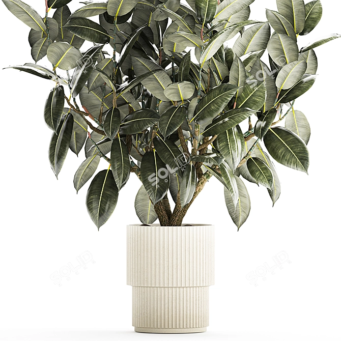 Modern Concrete Vase Ficus Collection 3D model image 4