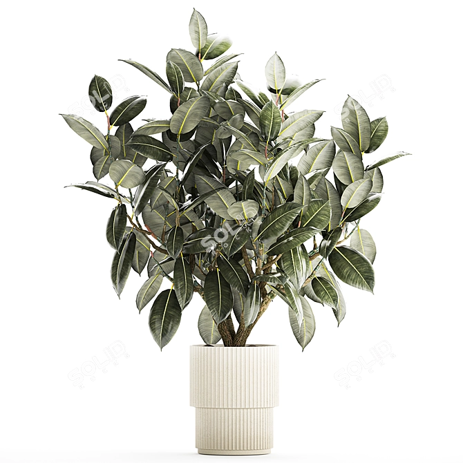 Modern Concrete Vase Ficus Collection 3D model image 6