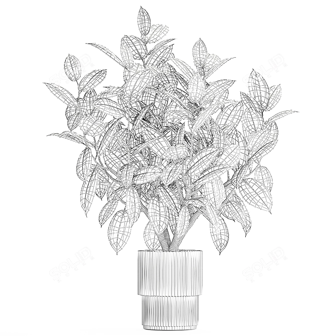 Modern Concrete Vase Ficus Collection 3D model image 7