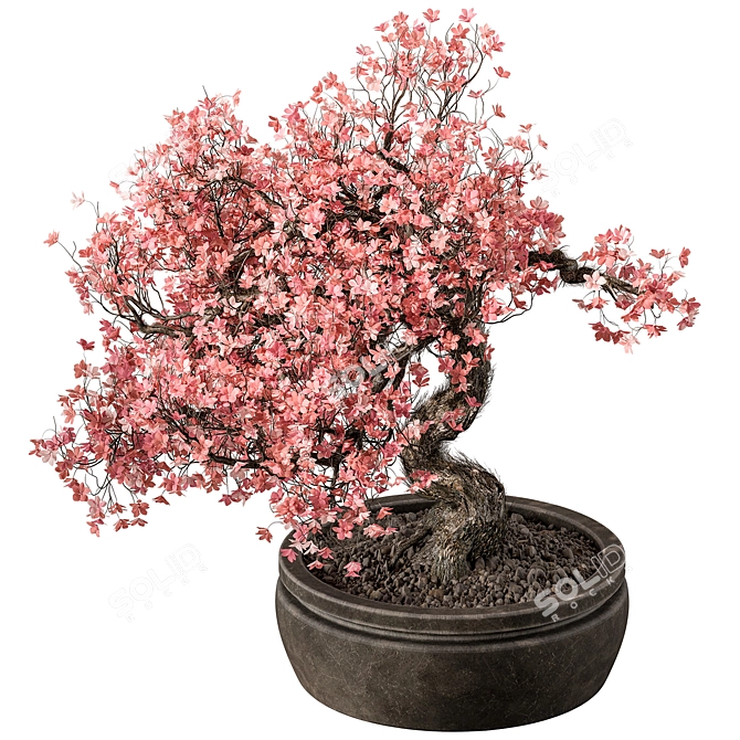 Flower Bonsai 523 - Indoor Greenery 3D model image 1