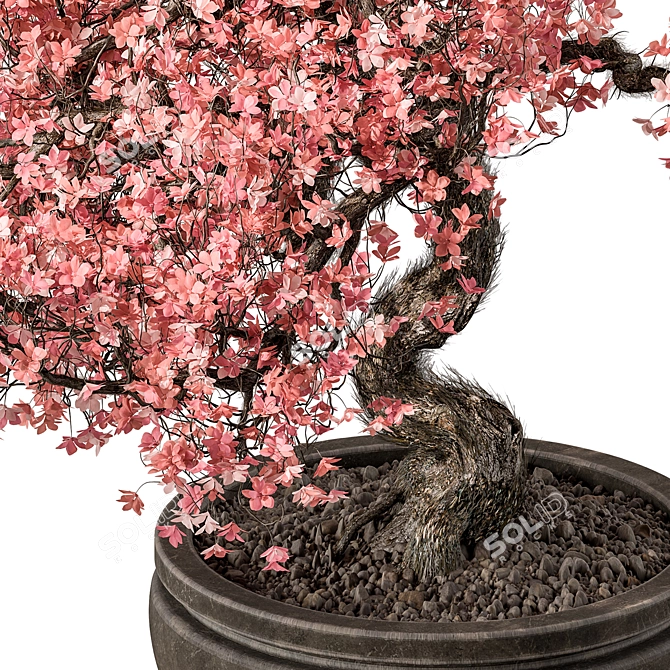 Flower Bonsai 523 - Indoor Greenery 3D model image 2