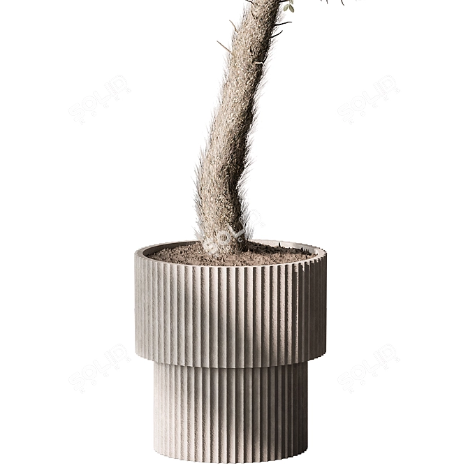 Russian Indoor Plant Tree Pot 3D model image 3