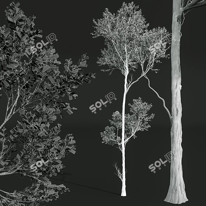 Spring Trees 3D Models Bundle 3D model image 7