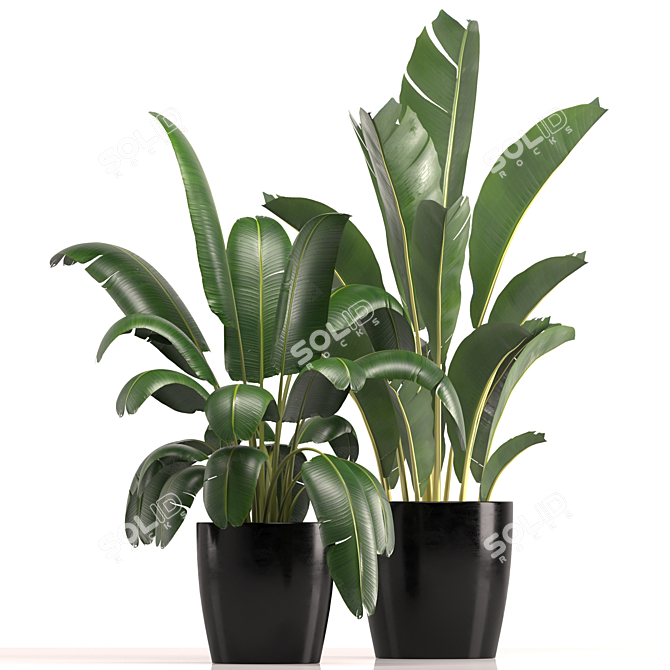 Modern Indoor Plant Set 039 3D model image 1