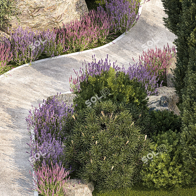 Alpine Garden Collection: Evergreens & Lavender 3D model image 4