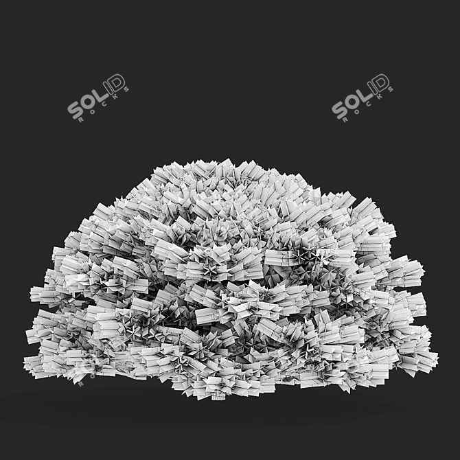 Picea Abies Tree Collection | 3D Models 3D model image 3