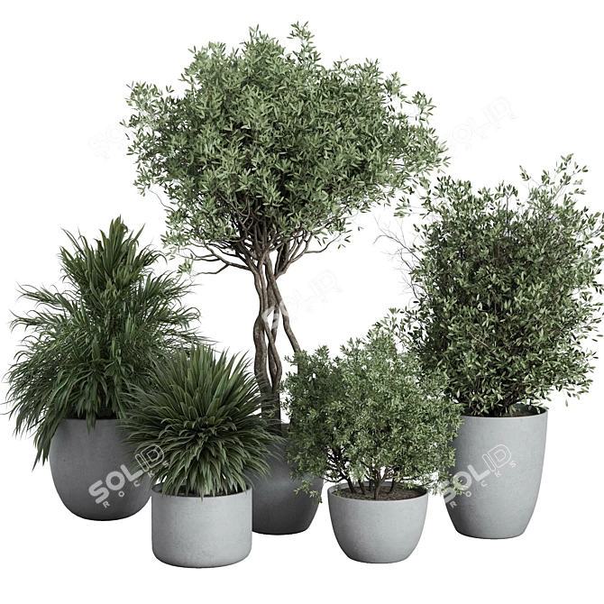 Outdoor Plant Set 156 Trees 3D model image 1