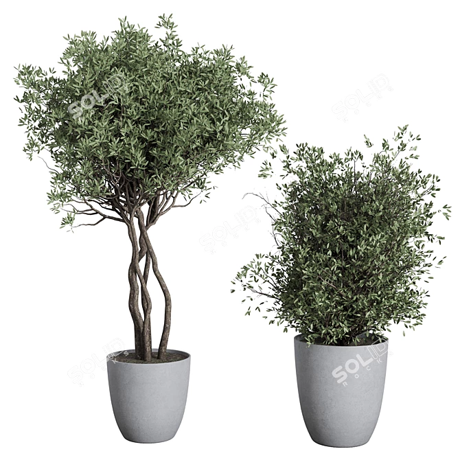 Outdoor Plant Set 156 Trees 3D model image 2