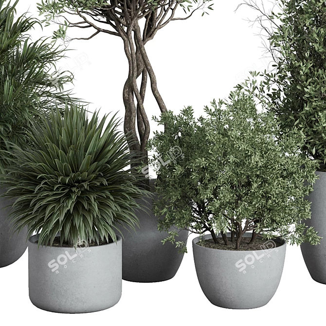 Outdoor Plant Set 156 Trees 3D model image 3